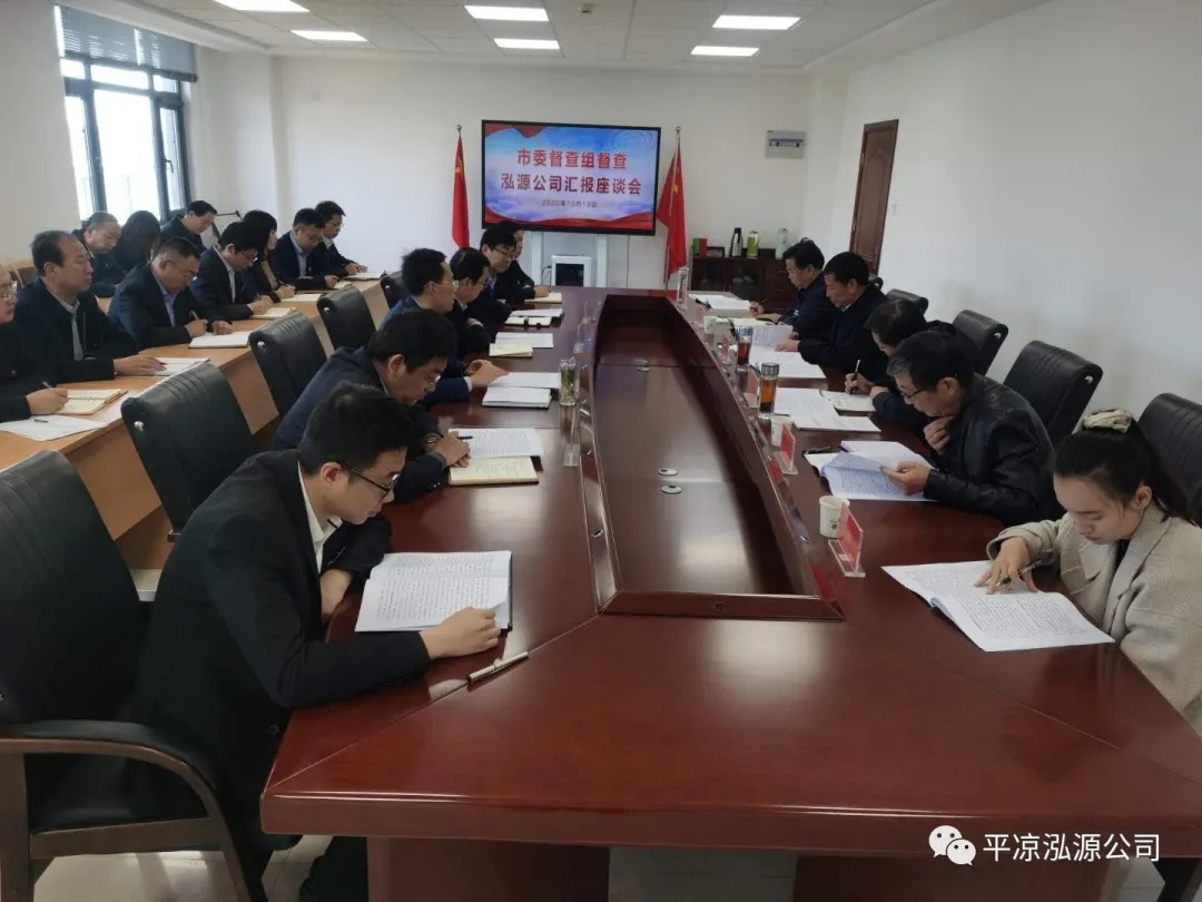 市委辦公室、市政府國(guó)資委督查泓源公司工作(圖4)